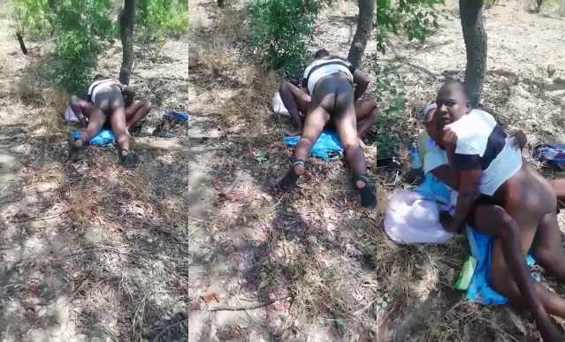 Black Couple Caught Fucking In The Jungle
